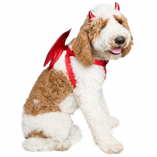 Devil Dog & Cat Costume: Red Wings & Horns for Halloween